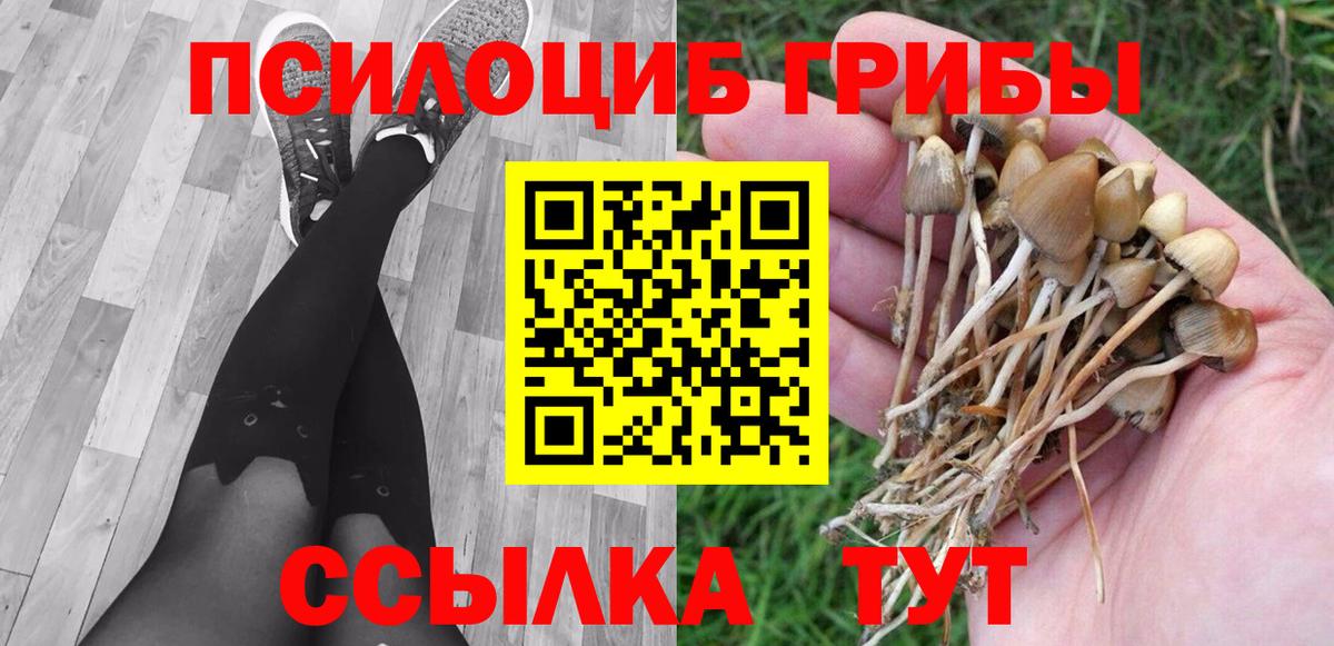 Галлюциногенные грибы мухоморы  Вход с VPN  Дубна 