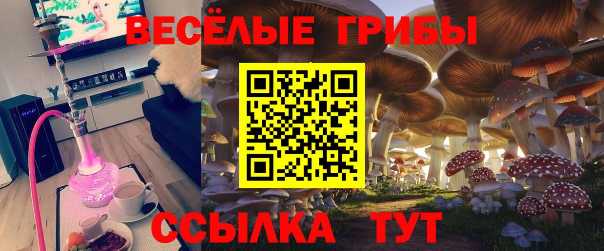 Галлюциногенные грибы Magic Shrooms Дубна